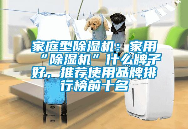 家庭型茄子视频懂你更多在线观看：家用“茄子视频懂你更多在线观看”什么牌子好，推荐使用品牌排行榜前十名