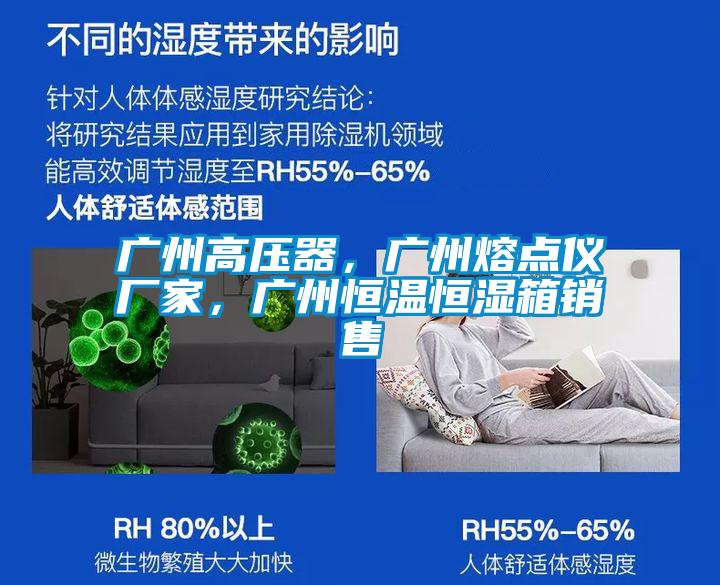 广州高压器，广州熔点仪厂家，广州恒温恒湿箱销售