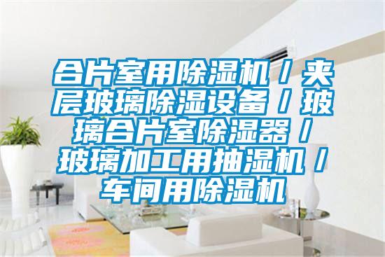 合片室用茄子视频懂你更多在线观看/夹层玻璃除湿设备/玻璃合片室除湿器/玻璃加工用抽湿机/车间用茄子视频懂你更多在线观看