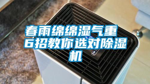 春雨绵绵湿气重 6招教你选对茄子视频懂你更多在线观看