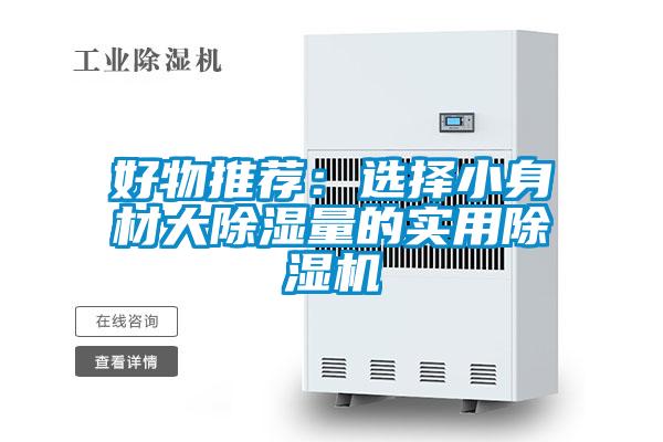 好物推荐：选择小身材大除湿量的实用茄子视频懂你更多在线观看