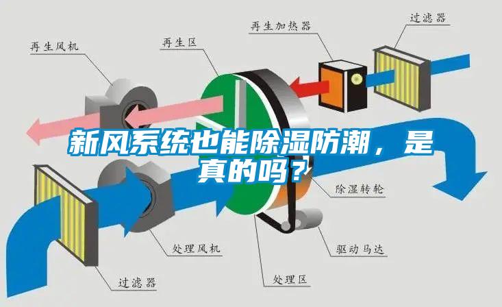 新风系统也能除湿防潮，是真的吗？