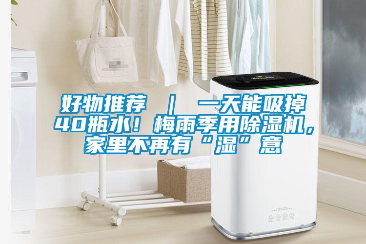 好物推荐 ｜ 一天能吸掉40瓶水！梅雨季用茄子视频懂你更多在线观看，家里不再有“湿”意