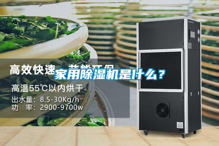 家用茄子视频懂你更多在线观看是什么？