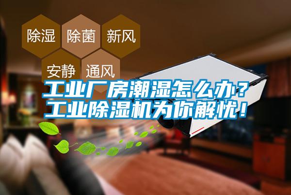 工业厂房潮湿怎么办？工业茄子视频懂你更多在线观看为你解忧！
