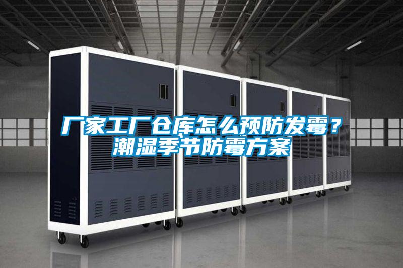 厂家工厂仓库怎么预防发霉？潮湿季节防霉方案