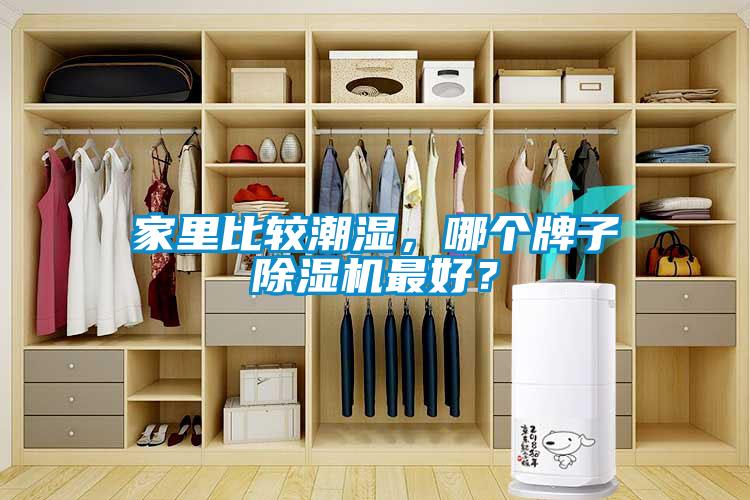 家里比较潮湿，哪个牌子茄子视频懂你更多在线观看最好？