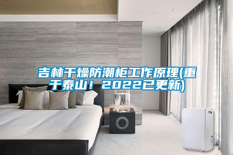 吉林干燥防潮柜工作原理(重于泰山！2022已更新)