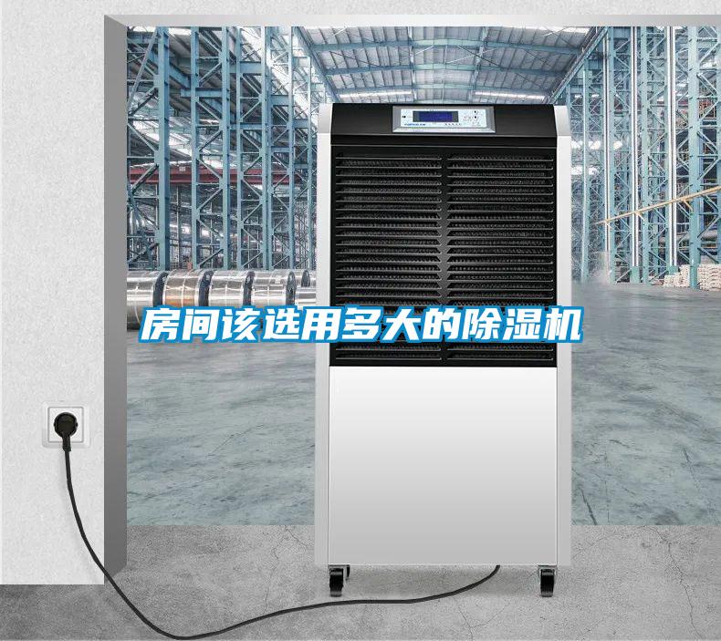 房间该选用多大的茄子视频懂你更多在线观看