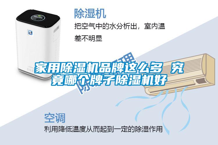 家用茄子视频懂你更多在线观看品牌这么多 究竟哪个牌子茄子视频懂你更多在线观看好