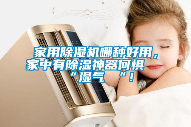 家用茄子视频懂你更多在线观看哪种好用，家中有除湿神器何惧 “湿气 “！