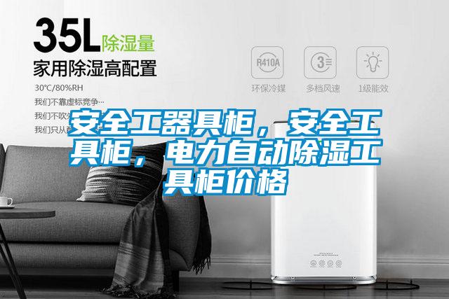 安全工器具柜，安全工具柜，电力自动除湿工具柜价格