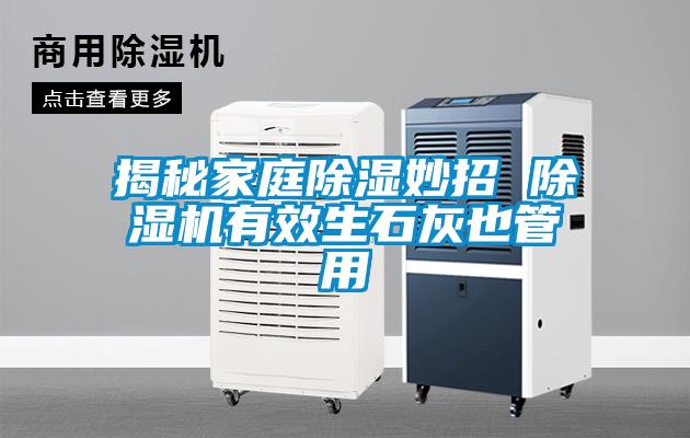 揭秘家庭除湿妙招 茄子视频懂你更多在线观看有效生石灰也管用