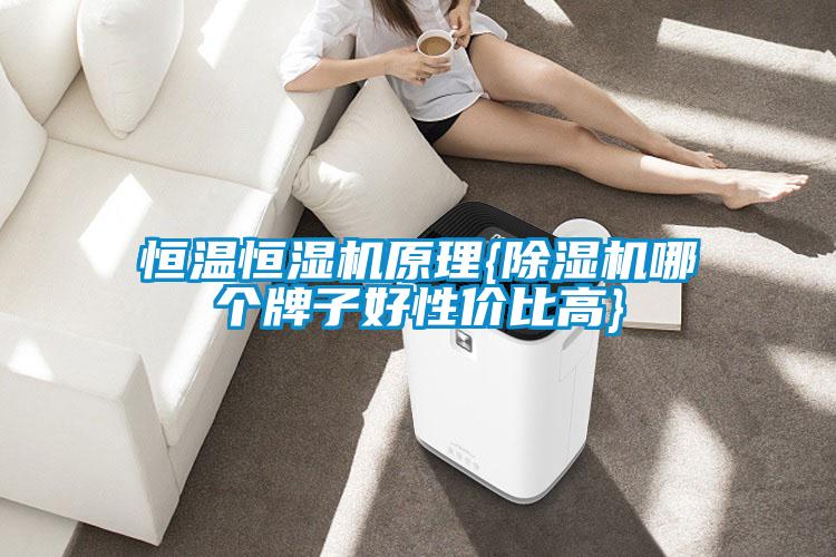 恒温恒湿机原理{茄子视频懂你更多在线观看哪个牌子好性价比高}