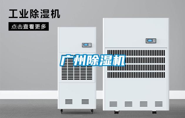 广州茄子视频懂你更多在线观看