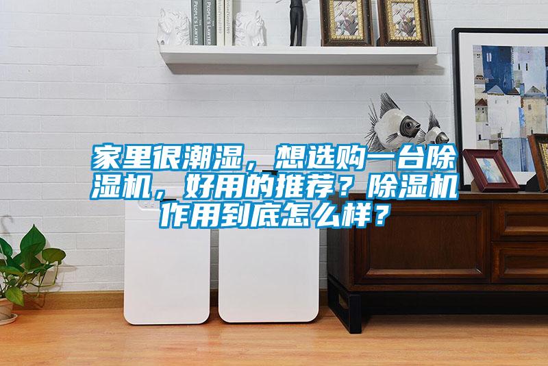 家里很潮湿，想选购一台茄子视频懂你更多在线观看，好用的推荐？茄子视频懂你更多在线观看作用到底怎么样？