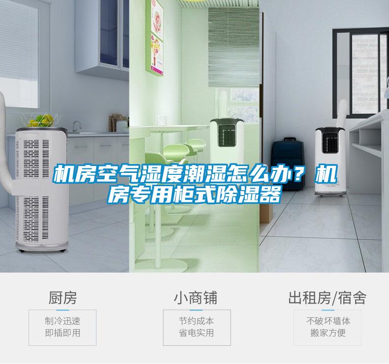 机房空气湿度潮湿怎么办？机房专用柜式除湿器