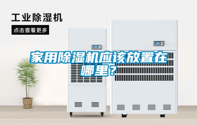 家用茄子视频懂你更多在线观看应该放置在哪里？