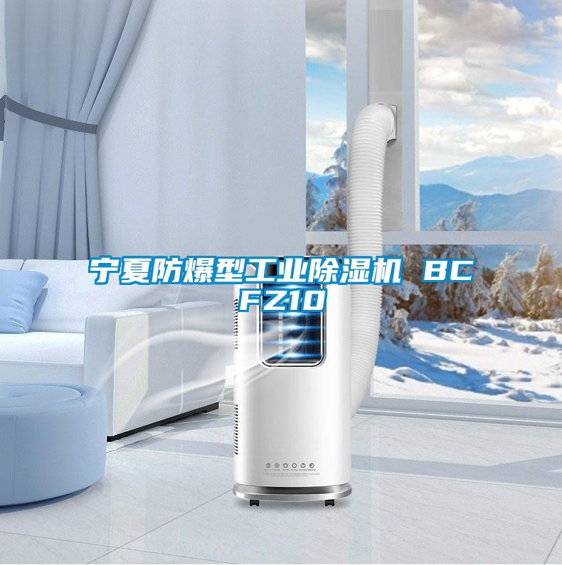 宁夏防爆型工业茄子视频懂你更多在线观看 BCFZ10