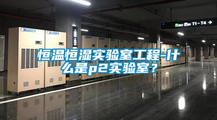 恒温恒湿实验室工程-什么是p2实验室？