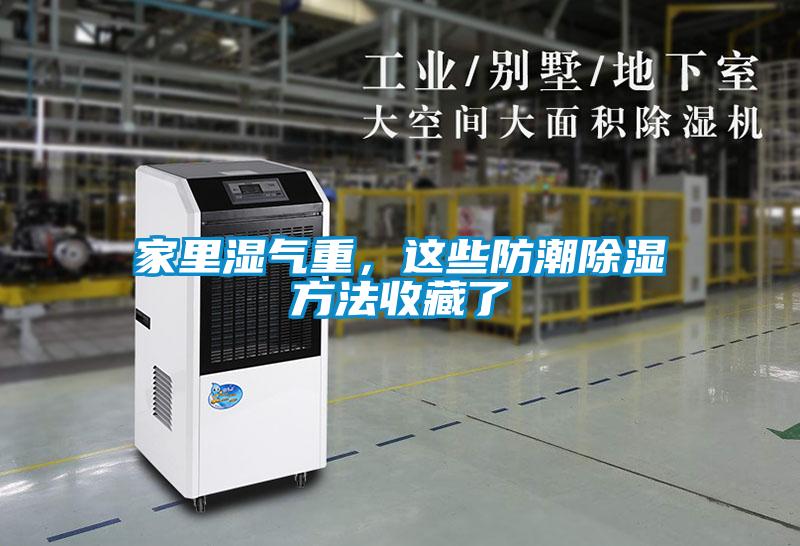 家里湿气重，这些防潮除湿方法收藏了