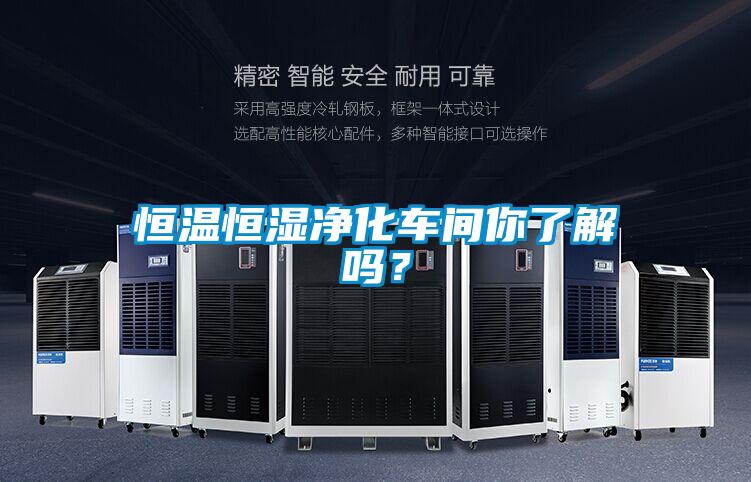 恒温恒湿净化车间你了解吗？