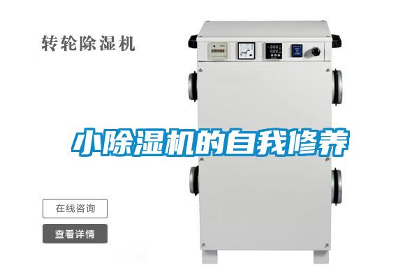 小茄子视频懂你更多在线观看的自我修养