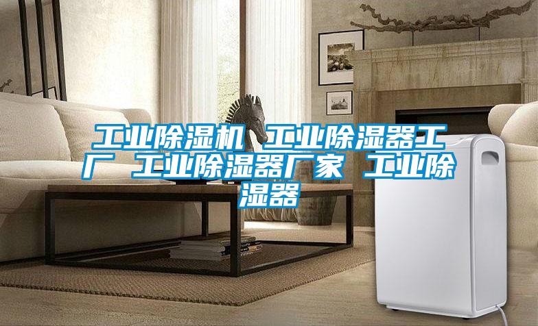 工业茄子视频懂你更多在线观看 工业除湿器工厂 工业除湿器厂家 工业除湿器