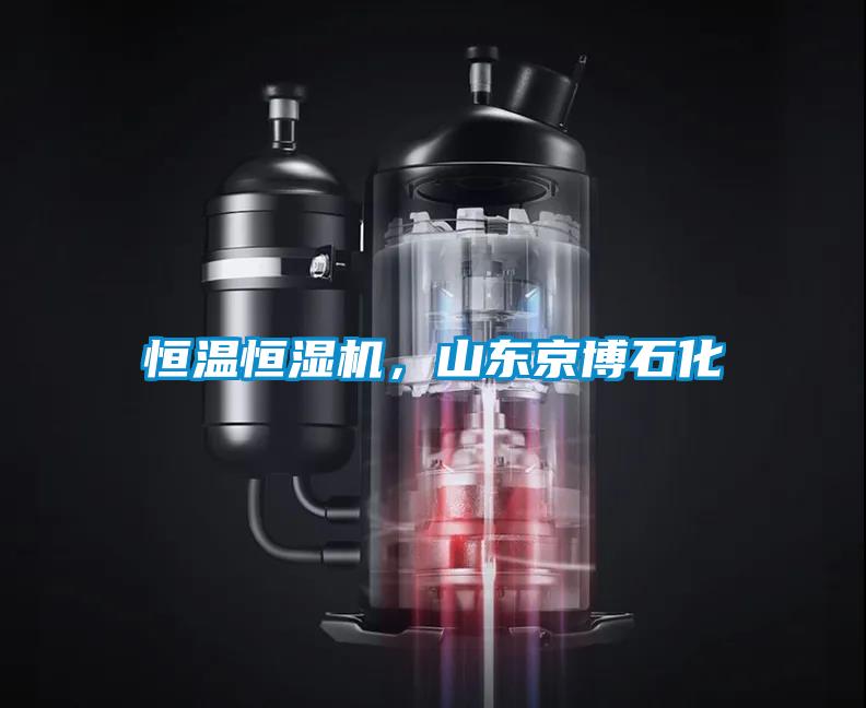 恒温恒湿机，山东京博石化