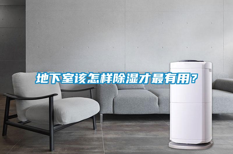 地下室该怎样除湿才最有用？
