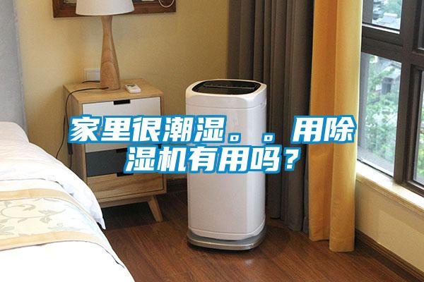 家里很潮湿。。用茄子视频懂你更多在线观看有用吗？