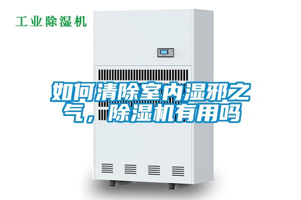 如何清除室内湿邪之气，茄子视频懂你更多在线观看有用吗