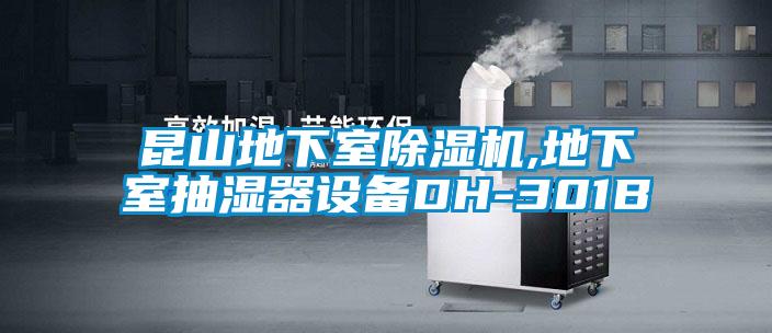 昆山地下室茄子视频懂你更多在线观看,地下室抽湿器设备DH-301B