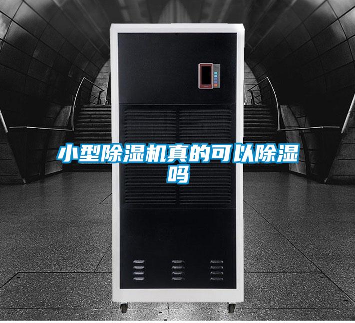 小型茄子视频懂你更多在线观看真的可以除湿吗