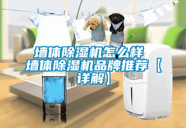 墙体茄子视频懂你更多在线观看怎么样 墙体茄子视频懂你更多在线观看品牌推荐【详解】