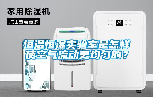 恒温恒湿实验室是怎样使空气流动更均匀的？