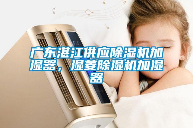 广东湛江供应茄子视频懂你更多在线观看加湿器，湿菱茄子视频懂你更多在线观看加湿器