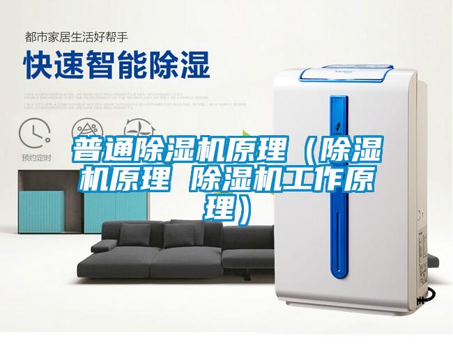 普通茄子视频懂你更多在线观看原理（茄子视频懂你更多在线观看原理 茄子视频懂你更多在线观看工作原理）