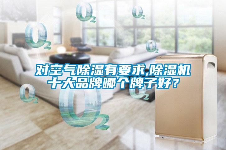 对空气除湿有要求,茄子视频懂你更多在线观看十大品牌哪个牌子好？