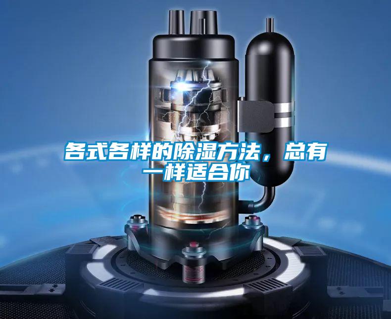各式各样的除湿方法，总有一样适合你