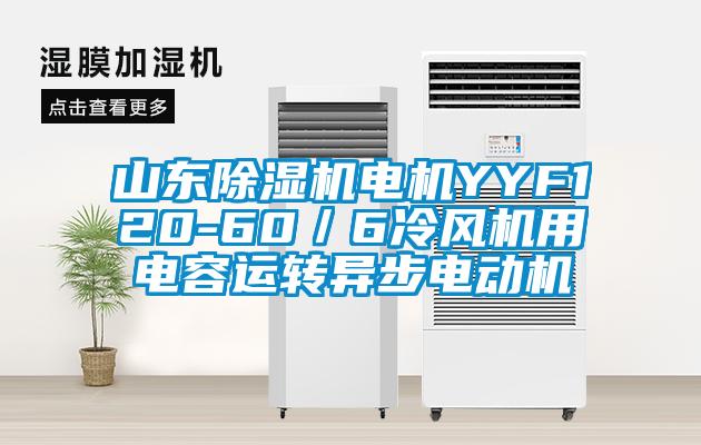 山东茄子视频懂你更多在线观看电机YYF120-60／6冷风机用电容运转异步电动机