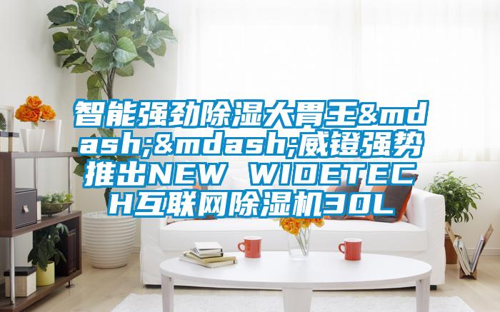 智能强劲除湿大胃王——威镫强势推出NEW WIDETECH互联网茄子视频懂你更多在线观看30L