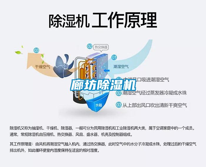 廊坊茄子视频懂你更多在线观看