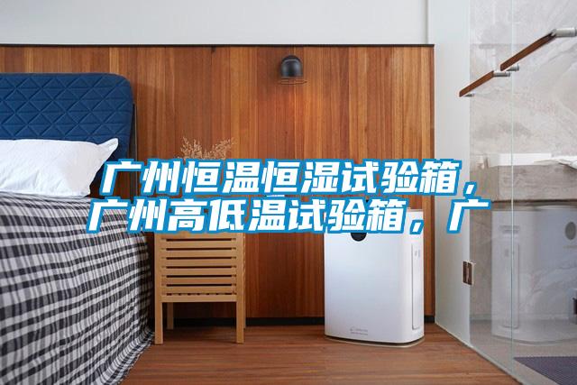 广州恒温恒湿试验箱，广州高低温试验箱，广