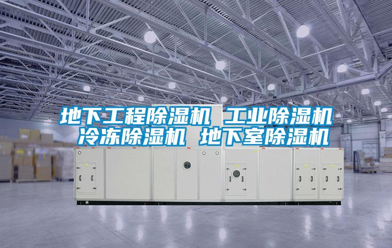 地下工程茄子视频懂你更多在线观看 工业茄子视频懂你更多在线观看 冷冻茄子视频懂你更多在线观看 地下室茄子视频懂你更多在线观看