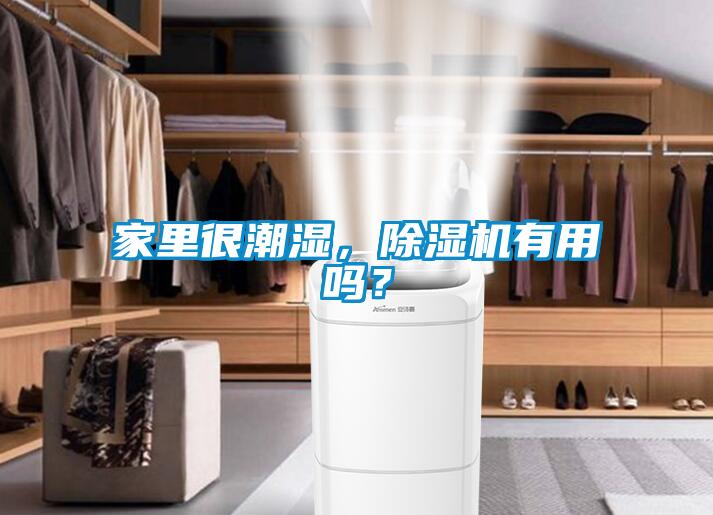 家里很潮湿，茄子视频懂你更多在线观看有用吗？