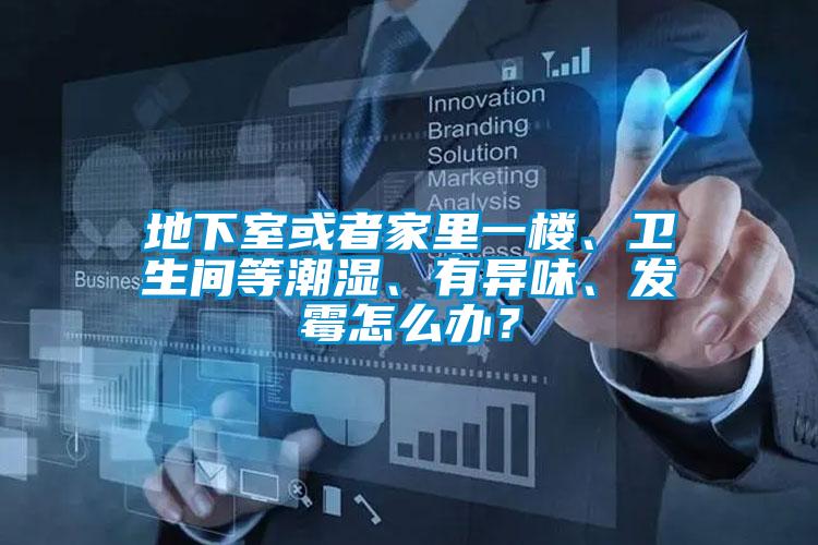 地下室或者家里一楼、卫生间等潮湿、有异味、发霉怎么办？