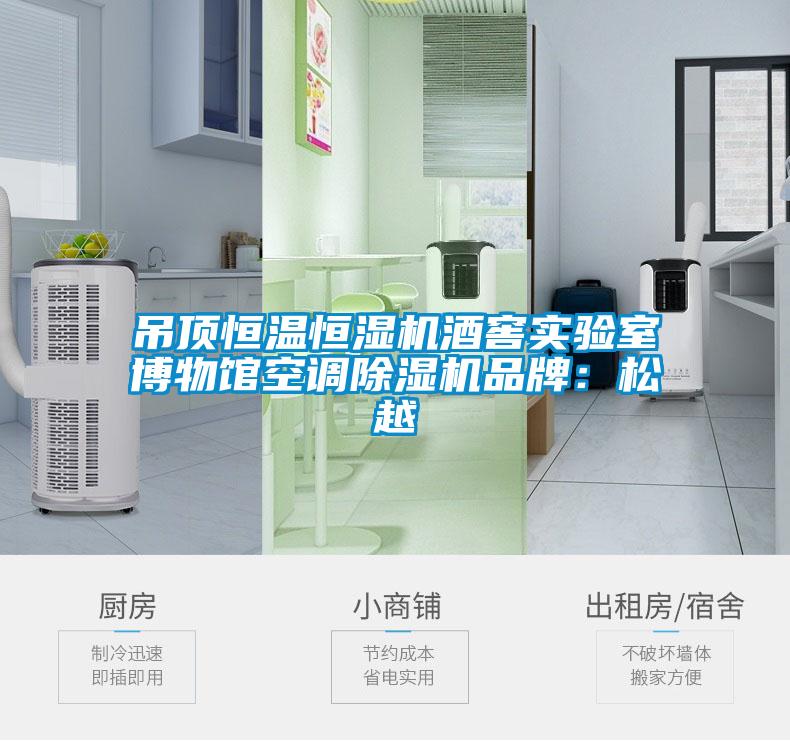 吊顶恒温恒湿机酒窖实验室博物馆空调茄子视频懂你更多在线观看品牌：松越