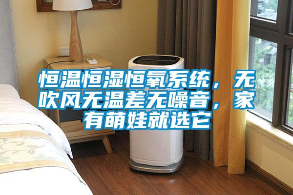 恒温恒湿恒氧系统，无吹风无温差无噪音，家有萌娃就选它