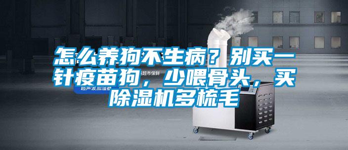 怎么养狗不生病？别买一针疫苗狗，少喂骨头，买茄子视频懂你更多在线观看多梳毛
